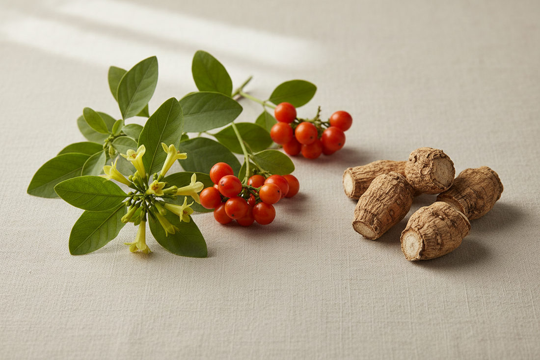 What Is Ashwagandha? A Simple Guide to This Popular Adaptogenic Herb